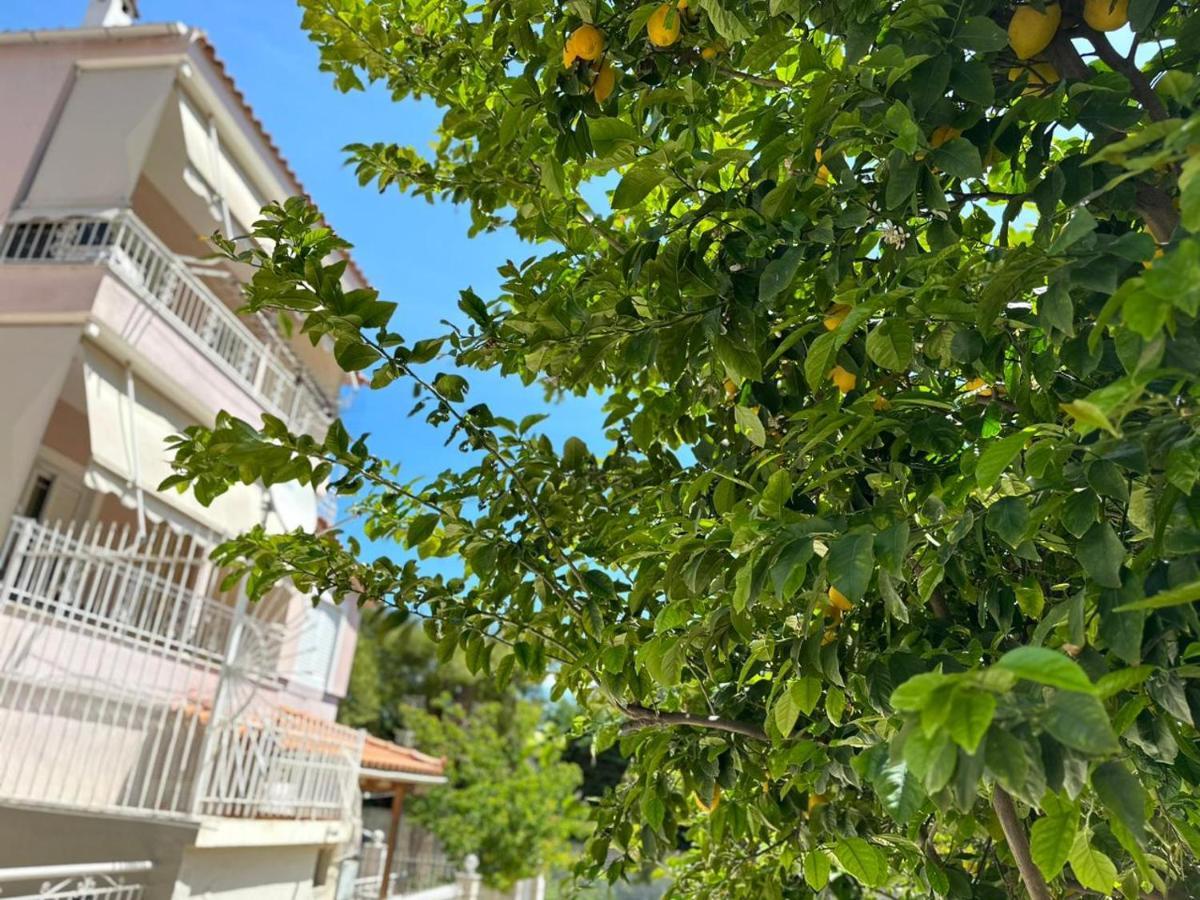 La Vita Apartments-Near Airport & Sea Artémida Eksteriør bilde